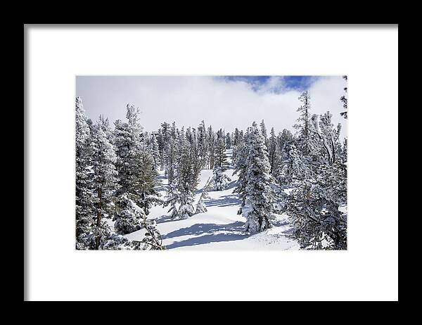  Framed Print featuring the photograph Snow Covered Trees by Rocco Silvestri