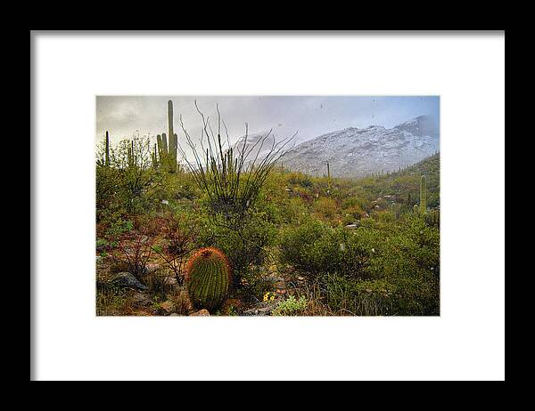 Tucson Framed Print featuring the photograph Snow in the Desert by Chance Kafka