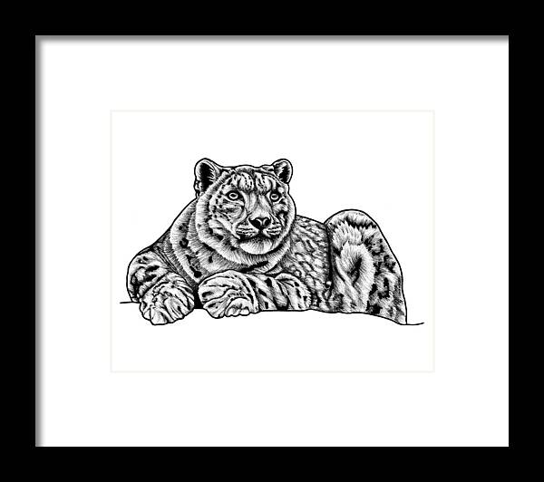 Leopard Framed Print featuring the drawing Snow Leopard by Loren Dowding