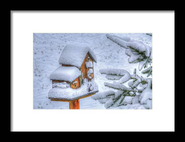 Snow Framed Print featuring the photograph Snowed In by Don Wolf