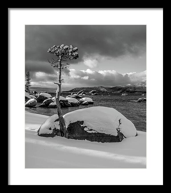 Lake Framed Print featuring the photograph Snow Tree by Martin Gollery