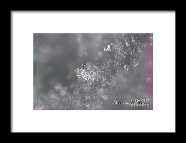 Snowflake Framed Print featuring the photograph Snowflake Pink Border by Donna L Munro