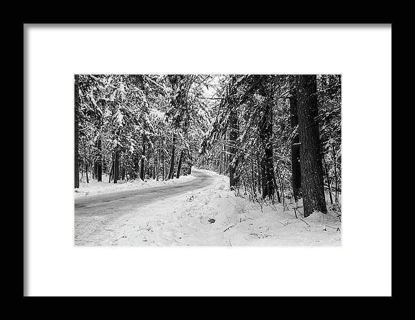 Snow Framed Print featuring the photograph Snowy Forest Road in Winter by Betty Denise