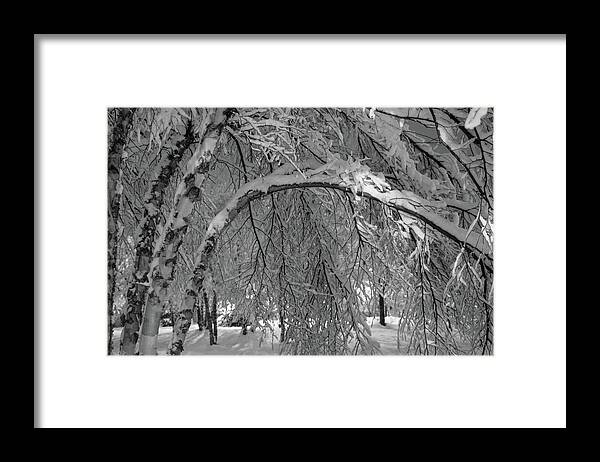 Snow Framed Print featuring the photograph Snowy Night Grayscale by Mary Anne Delgado