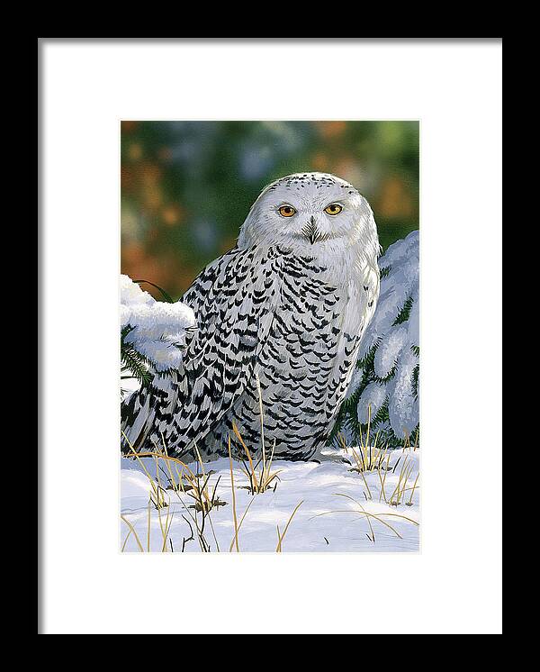 Snowy Owl Framed Print featuring the painting Snowy Owl by William Vanderdasson