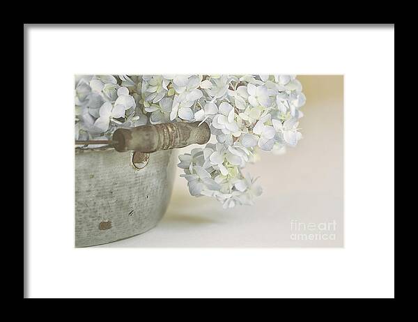 Flowers Framed Print featuring the photograph Soft Baby Blues by Alison Sherrow I AgedPage Fine