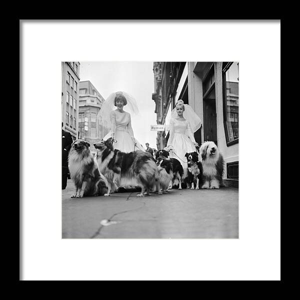 Wedding Dress Framed Print featuring the photograph Soho Sheep Dogs by Ronald Dumont