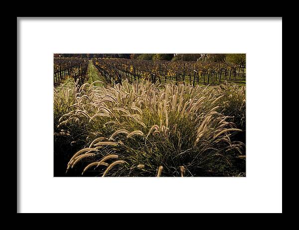 Scenics Framed Print featuring the photograph Sonoma Countys Russian River Valley by George Rose