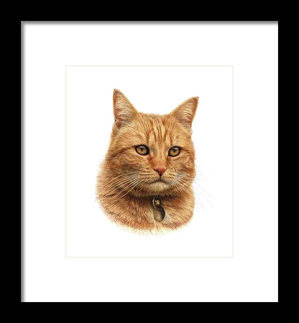 Domestic Cats Framed Print featuring the painting Sophie by Aron Gadd