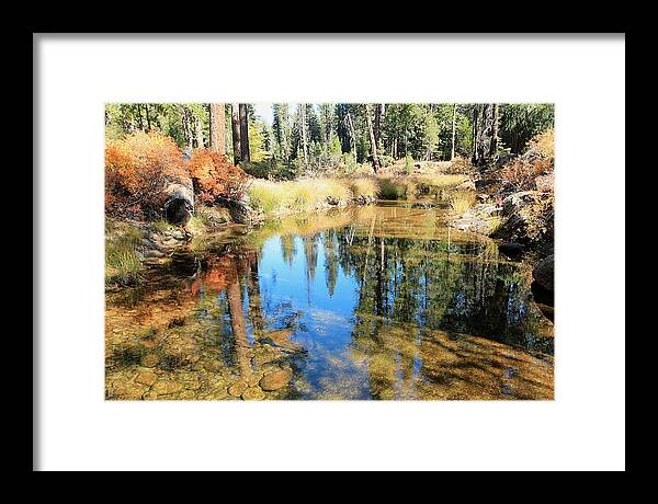 Autumn Framed Print featuring the photograph SoulSeeking by Sean Sarsfield