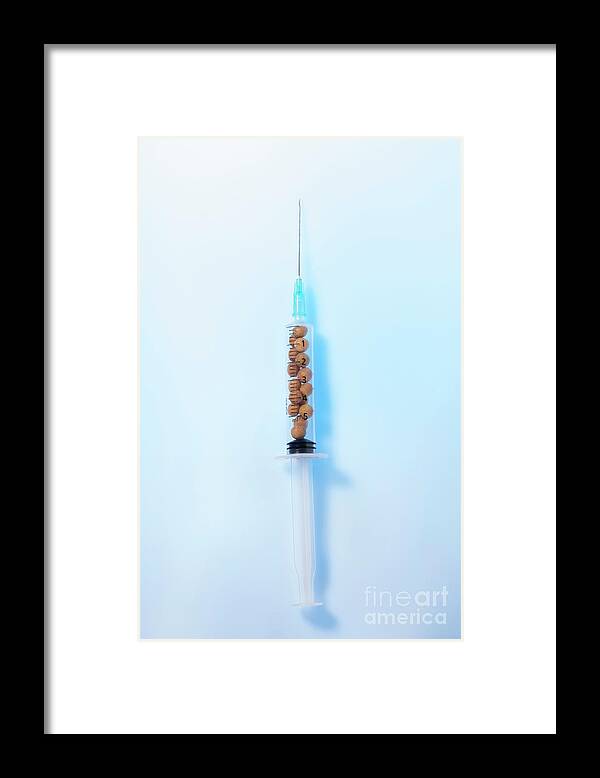 Butterfly Needle by Cristina Pedrazzini/science Photo Library