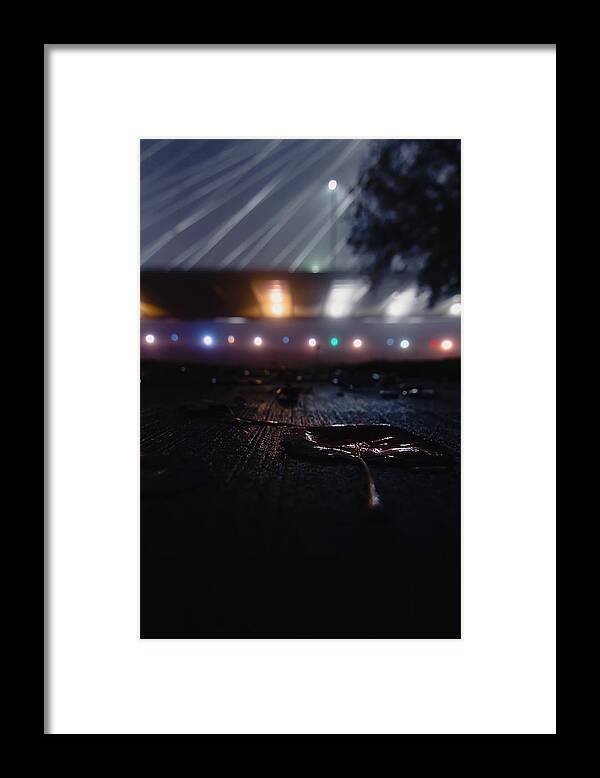 Spaceship Framed Print featuring the photograph Spaceship by Peter Hull