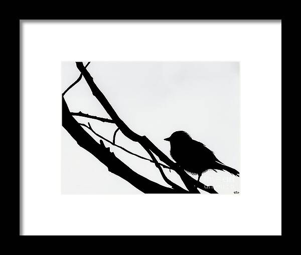 Bird Framed Print featuring the drawing Sparrow in a Gray Sky by D Hackett