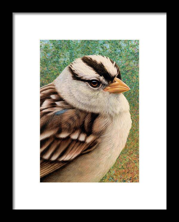 Bird Framed Print featuring the mixed media Sparrow by James W. Johnson