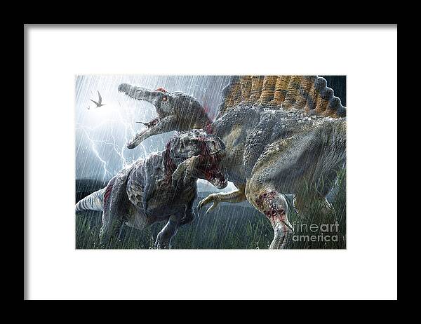 Beauty Framed Print featuring the digital art Spinosaurus Vs Tyrannosaurus by Herschel Hoffmeyer