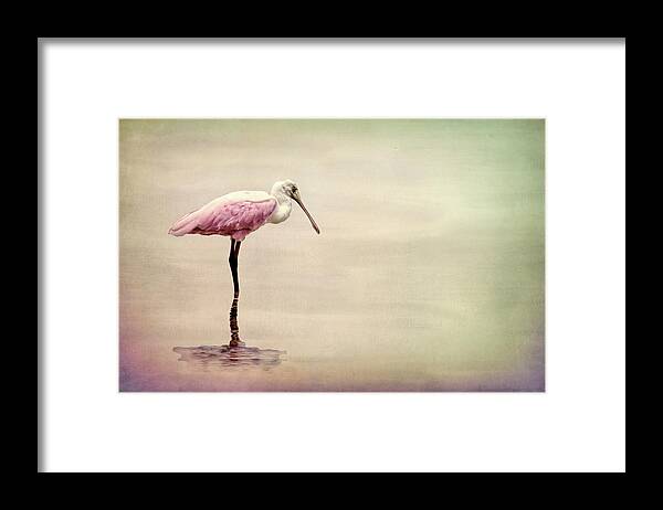 Spoonbill Framed Print featuring the mixed media Spoonbill Pink by Rosalie Scanlon
