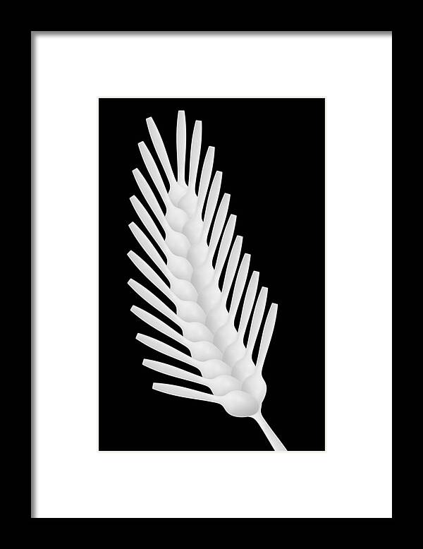 Spoons Framed Print featuring the photograph Spoons Abstract: Wheat by Jacqueline Hammer