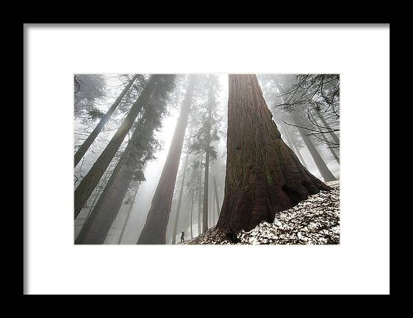 National Park Framed Print featuring the photograph Spot The Human by Steven Keys