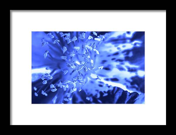 Sprayed With Blue 03 Framed Print featuring the photograph Sprayed With Blue 03 by Eva Bane