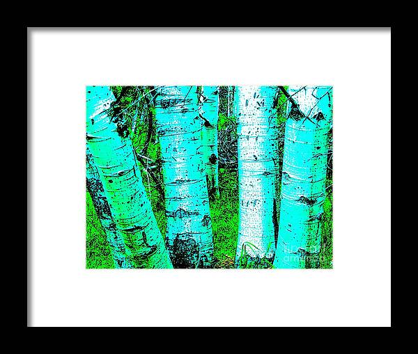 Aspens/trees/spring/simmer/blue/green/white/interior/forest/ Framed Print featuring the mixed media Spring Aspens by Jennifer Lake