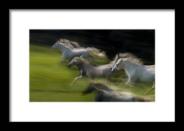 Action Framed Print featuring the photograph Spring Energy by Milan Malovrh