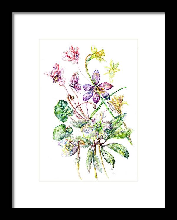 Daffodils Framed Print featuring the painting Spring flowers, cyclamen, Hellebore, daffodils by Gloria Newlan