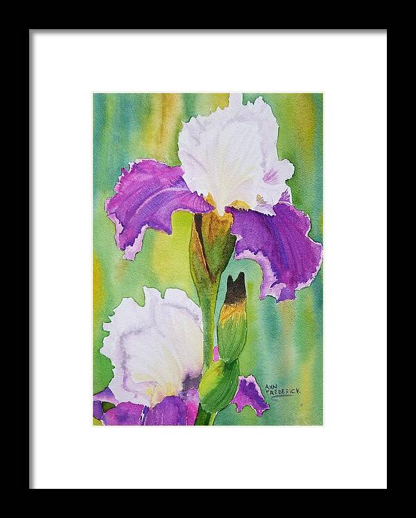Iris Framed Print featuring the painting Spring Iris by Ann Frederick