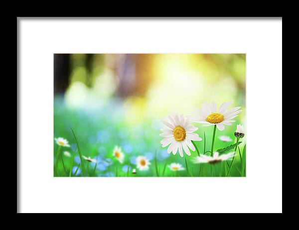 Scenics Framed Print featuring the photograph Spring Meadow by Borchee