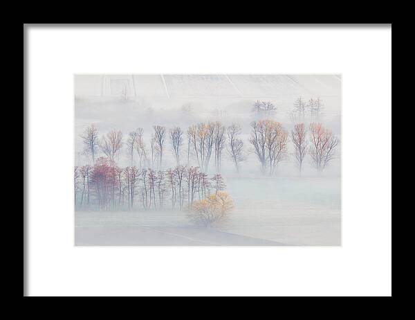 Mist Framed Print featuring the photograph Spring Mists by Ales Komovec