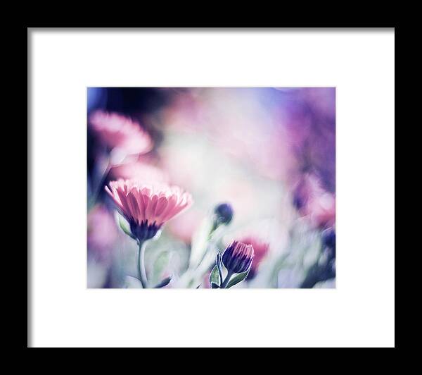 Bari Framed Print featuring the digital art Spring Paint by Dof-photo By Fulvio