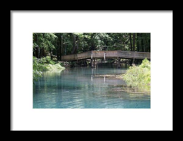  Framed Print featuring the photograph Springs in North Florida by Lindsey Floyd