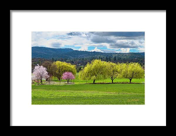 Spring Framed Print featuring the photograph Springtime by Dan McGeorge