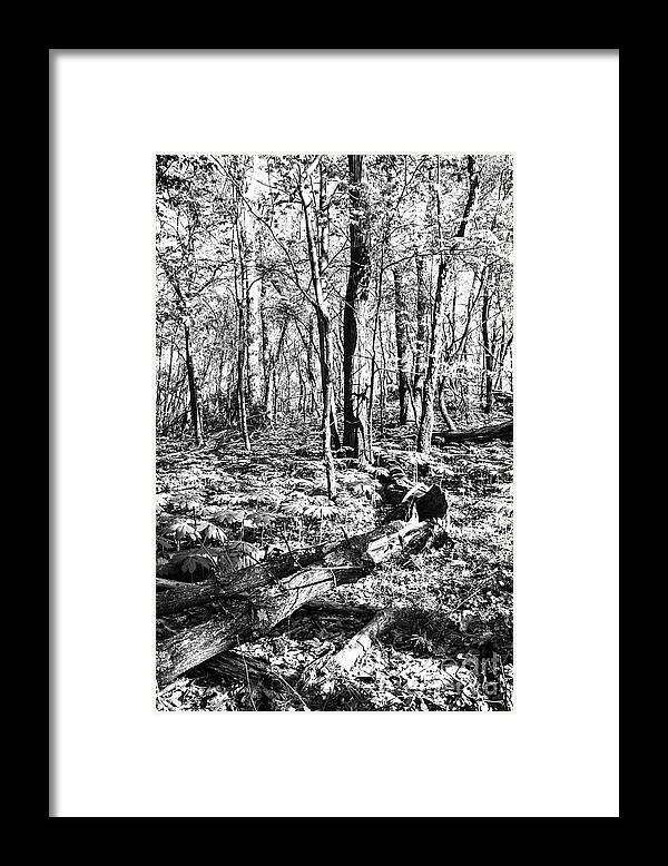 Spring Framed Print featuring the photograph Springtime on Sugarloaf Mountain No.1 by Steve Ember