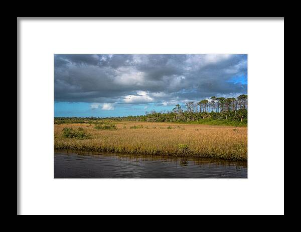 Barberville Roadside Yard Art And Produce Framed Print featuring the photograph Spruce Creek Park by Tom Singleton