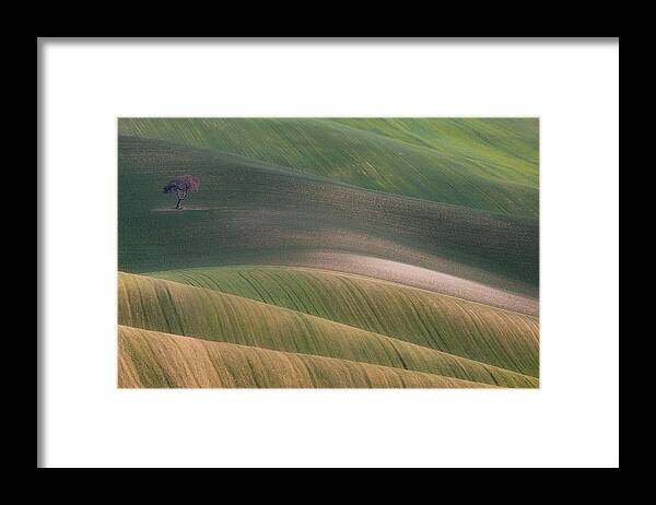 Hills Framed Print featuring the photograph S.t. 012 by Dorian Gray