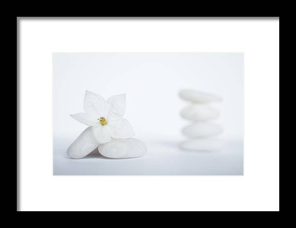 White Background Framed Print featuring the photograph Stack Of White Pebbles And Jasmine by G.g.bruno
