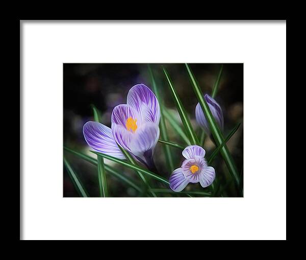 Nature Framed Print featuring the digital art Stages by Renette Coachman