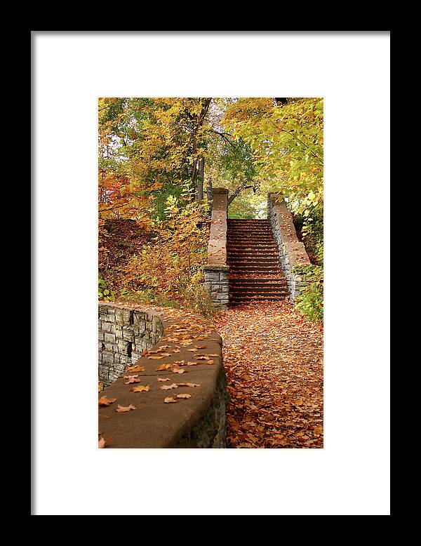Steps Framed Print featuring the photograph Stairway To The Forest by Wweagle