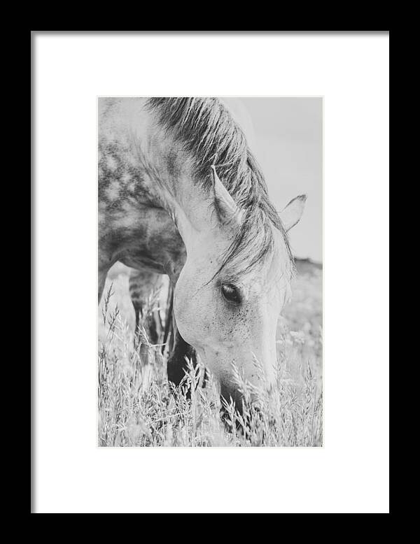 #horse #stallion #animal #nature #bw Framed Print featuring the photograph Stallion by Arendina De Jong