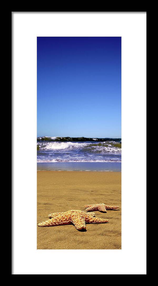 Water's Edge Framed Print featuring the photograph Starfish Beach by Lpettet
