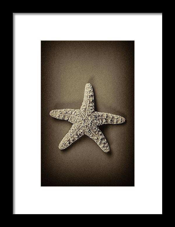 Starfish Framed Print featuring the photograph Starfish by Wiff Harmer