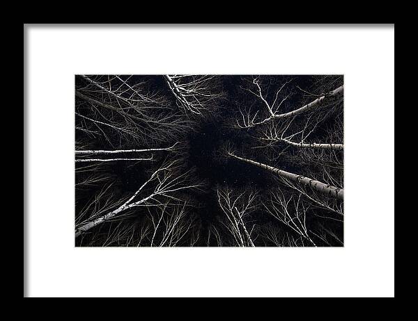 Ghostly Framed Print featuring the photograph Starry Winter Birch Forest by White Mountain Images