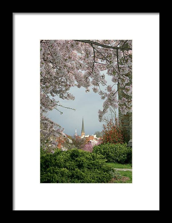 Scenics Framed Print featuring the photograph Steeples Through The Cherry Trees by Williamsherman