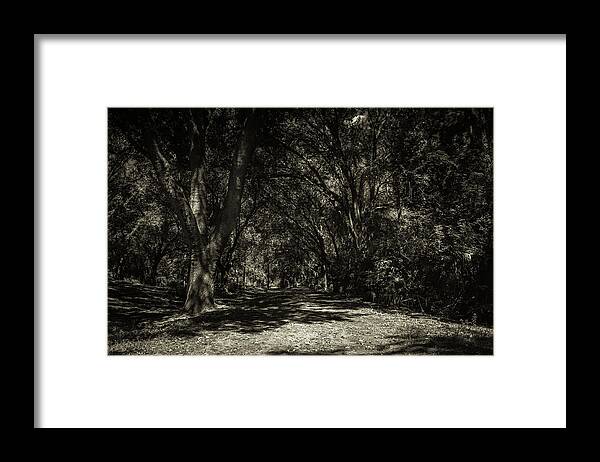Nature Framed Print featuring the photograph Infinito by Joe Leone