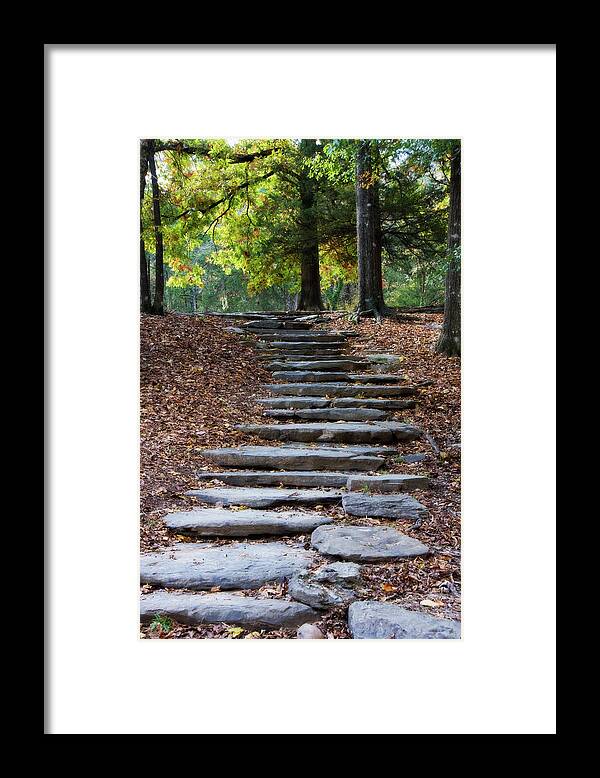 Autumn Framed Print featuring the photograph Steps Of Fall by Lana Trussell