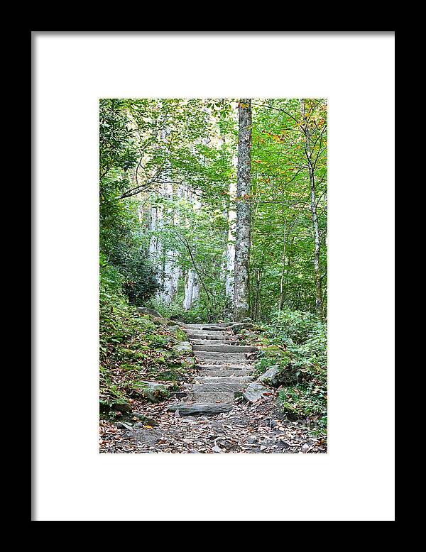 Tennessee Framed Print featuring the photograph Steps Up Into The Forest 1 by Phil Perkins