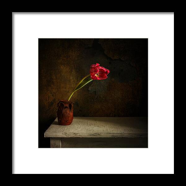 Still Life Framed Print featuring the photograph Still Life With Flower by Mykhailo Sherman