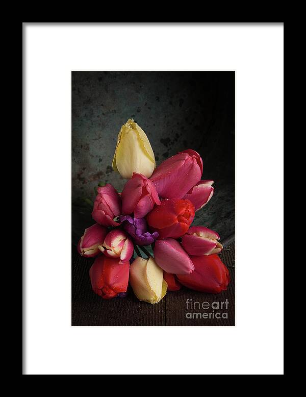 Blossoms Framed Print featuring the photograph Still Life With Tulips 35 by Edward Fielding