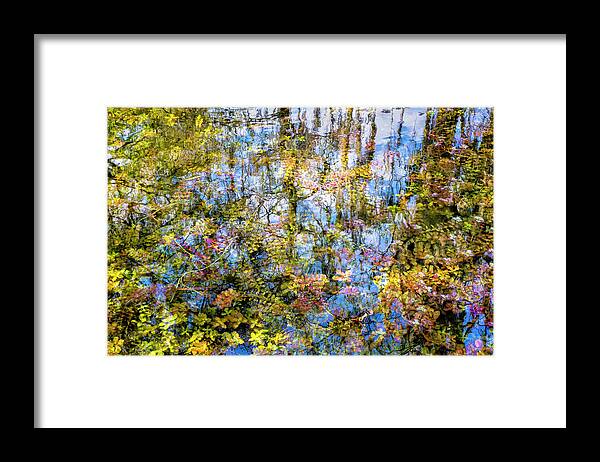 Big Cypress Park Framed Print featuring the photograph Stillness Holds Everything by Louise Lindsay