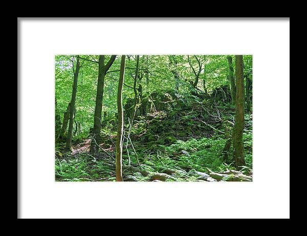 Forest Framed Print featuring the photograph Stones in a forest in Vogelsberg by Sun Travels